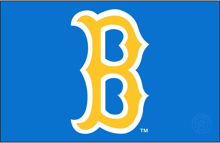 UCLA Bruins 1972-2017 Alternate Logo v2 diy iron on heat transfer